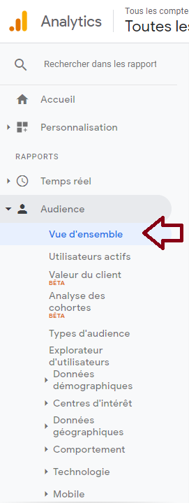 KPI-google-analytics-audience-vue-ensemble