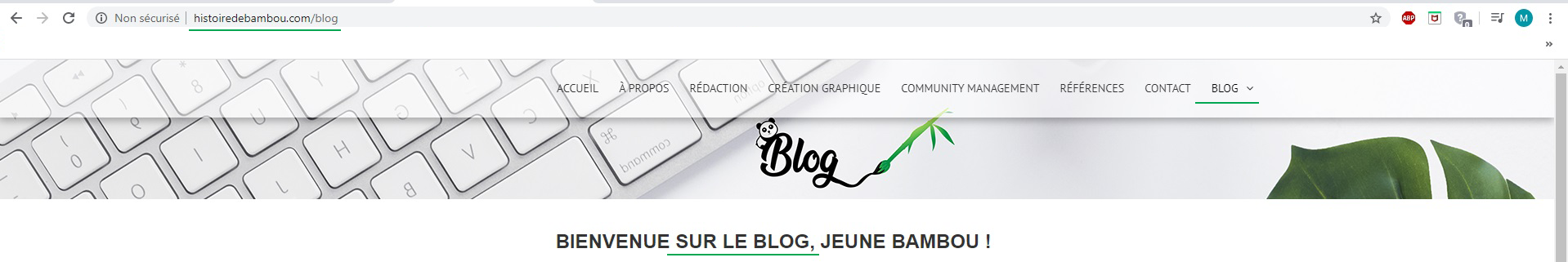 exemple URL SEO Friendly Histoire de Bambou