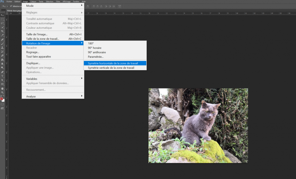 tuto-graphisme-inverser-une-image-photoshop