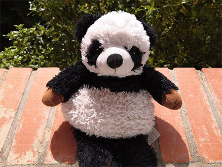 bouillotte-panda