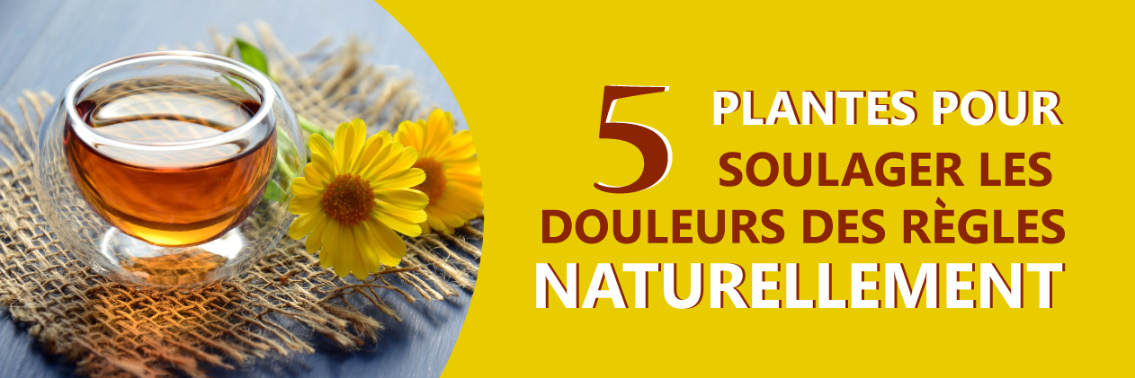 Soulager les douleurs des règles naturellement grâce à 5 plantes
