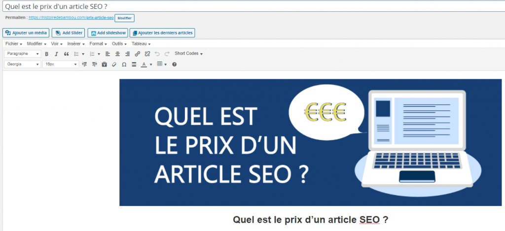 article-wordpress-prix-article-seo