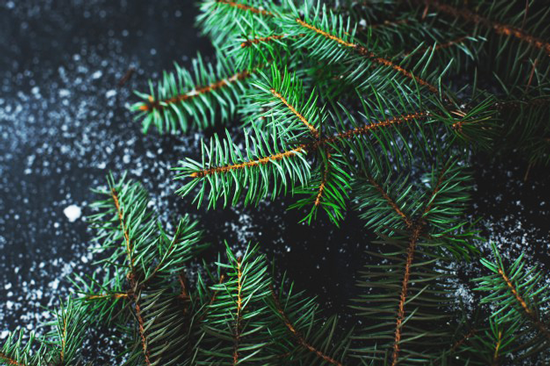 sapin-de-noel