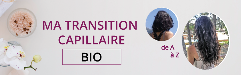 transition-capillaire-article-bio