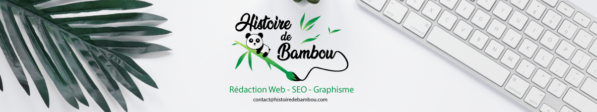 histoire-de-bambou-redacteur-web-lyon-freelance